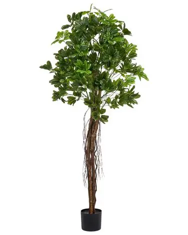 Artificial Plant UMBRELLA TREE 175 cm Green - Home Accessories
