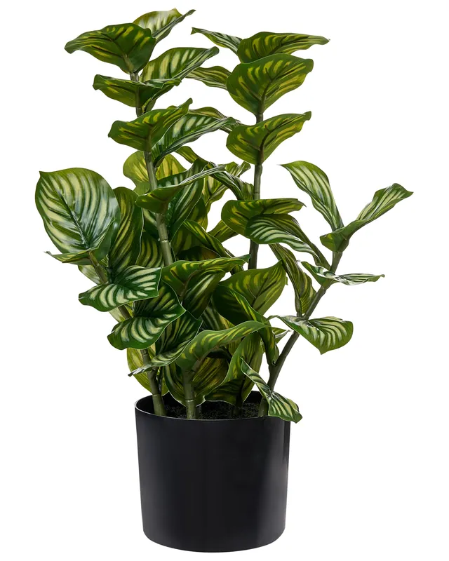 Artificial Plant ORBIFOLIA 50 cm Green - Home Accessories