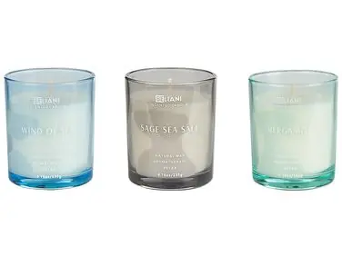 Conjunto de 3 velas aromáticas SHEER JOY Cera de soja Notas frescas - Accesorios decorativos