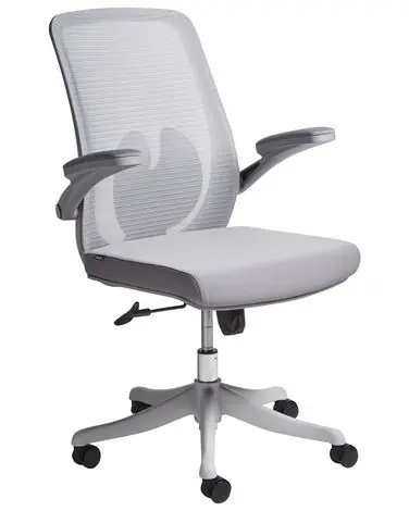 Silla de oficina OVERLORD Gris