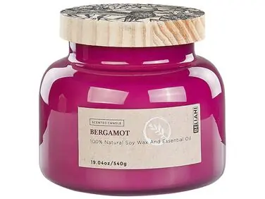Vela aromática DELIGHT BLISS Cera de soja Notas afrutadas - Accesorios decorativos
