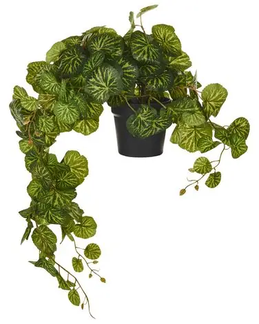 Planta artificial colgante en maceta STRAWBERRY BEGONIA 37 cm Verde - Accesorios decorativos