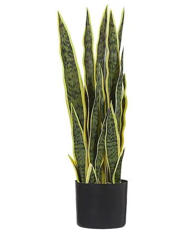Artificial Plant SNAKE PLANT 63 cm Green - Home Accessories