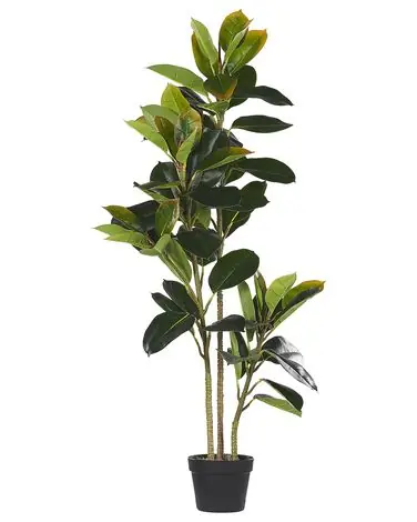 Artificial Plant FICUS ELASTICA 134 cm Green - Home Accessories