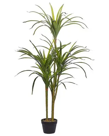 Artificial Plant DRACAENA ANITA 147 cm Green - Home Accessories