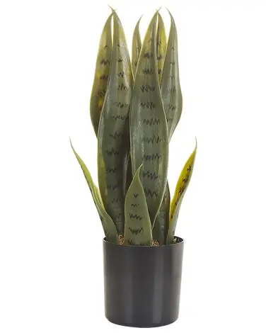 Planta artificial SNAKE PLANT 40 cm Verde - Accesorios decorativos