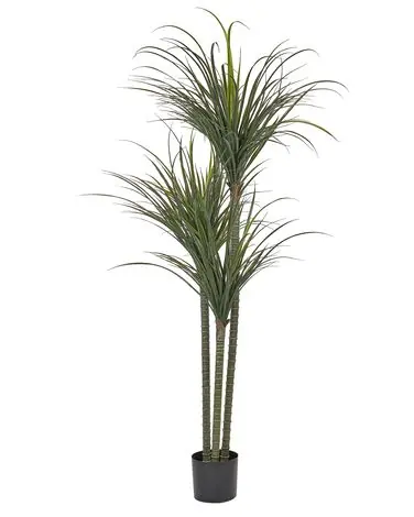 Planta artificial DRACAENA ANITA 198 cm Verde - Accesorios decorativos