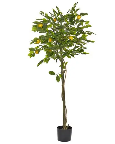 Artificial Plant LEMON TREE 156 cm Green - Home Accessories