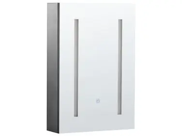 Armario con espejo de pared para baño LED CAMERON 40 cm 60 cm Negro