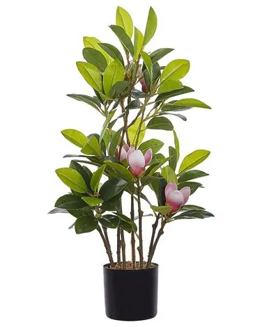 Artificial Plant MAGNOLIA 70 cm Green - Home Accessories
