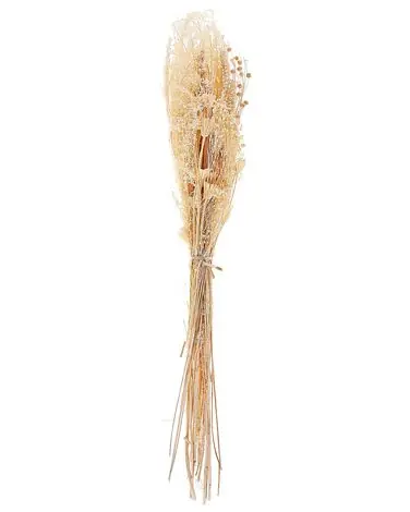 Ramo de flores secas BRUNETE 65 cm Natural - Accesorios decorativos