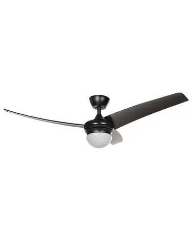 Ceiling Fan with Light JIBOA with Remote Black - Home Accessories
