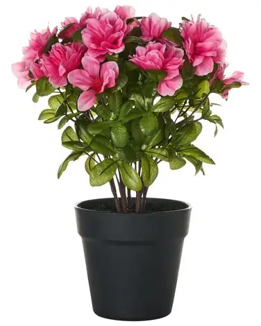 Artificial Plant NOVELLA 36 cm Pink - Home Accessories