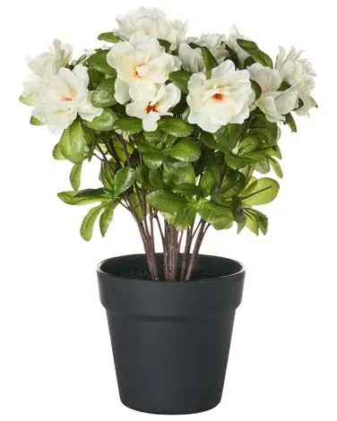 Artificial Plant NOVELLA 36 cm White - Home Accessories