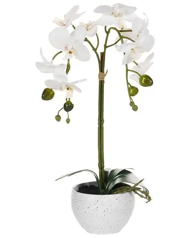 Artificial Plant ORCHID 42 cm White - Home Accessories