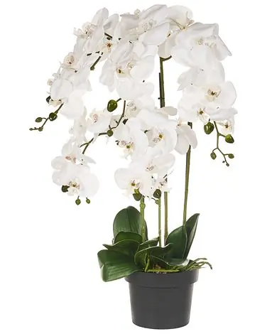 Artificial Plant ORCHID 65 cm White - Home Accessories