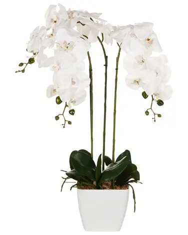Artificial Plant ORCHID 59 cm White - Home Accessories