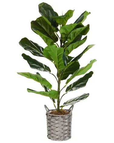 Artificial Plant FIDDLE LEAF TREE 72 cm Green - Home Accessories