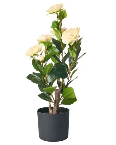Artificial Plant CAMELLIA 60 cm Green - Home Accessories