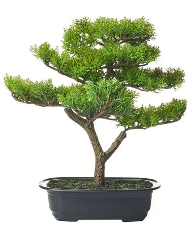 Planta artificial PINE 37 cm Verde - Accesorios decorativos