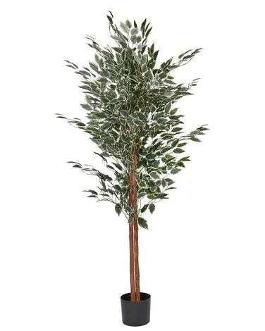 Artificial Plant FICUS 167 cm Green - Home Accessories