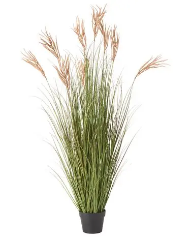Planta artificial CLAW FLOWER 150 cm Verde - Accesorios decorativos