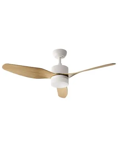 Ventilador de techo con luz ANDERSON con mando LED Marrón claro - Accesorios decorativos