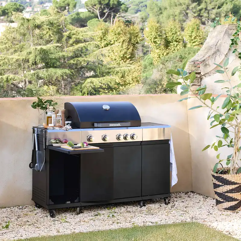 Barbacoa de gas de 4 quemadores con 1 fuego lateral - Barbacoas