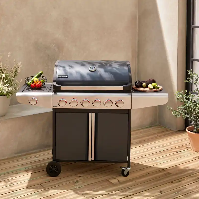 Barbacoa de gas de 7 quemadores con 1 quemador lateral - Barbacoas