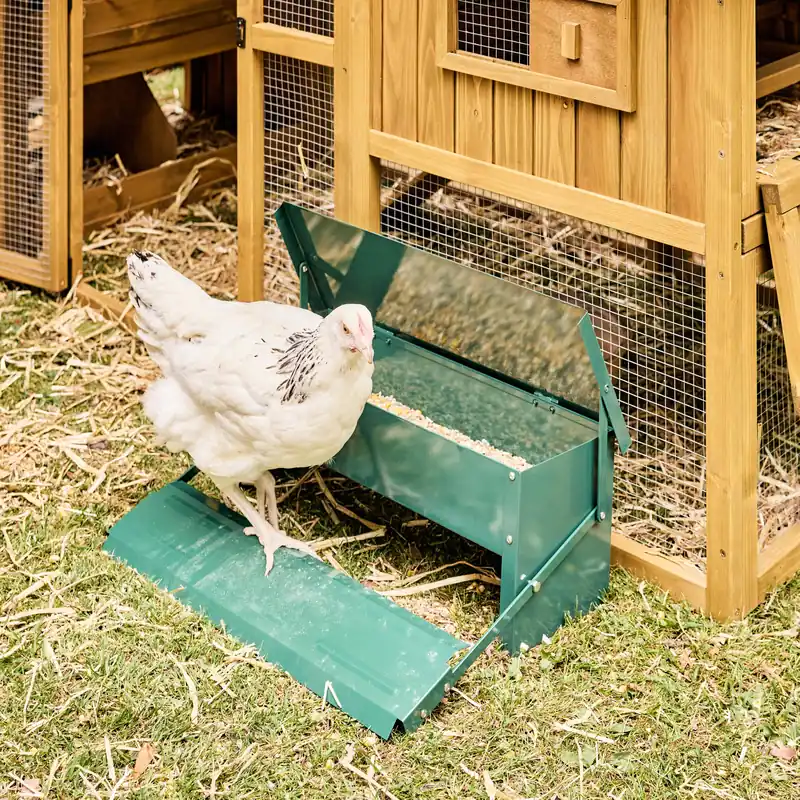 Comedero automático para gallinas 5kg - Gallineros y conejeras