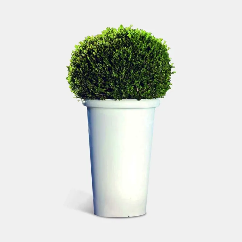 Jardinera alta Serralunga Camelia para uso exterior o interior - Mueble de jardin