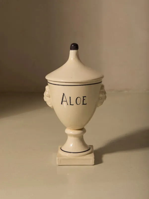 Albarelo veneciano Aloe años 60 - Rue Vintage