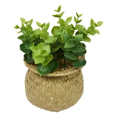 Planta artificial en maceta "Jil" - Atmosphera