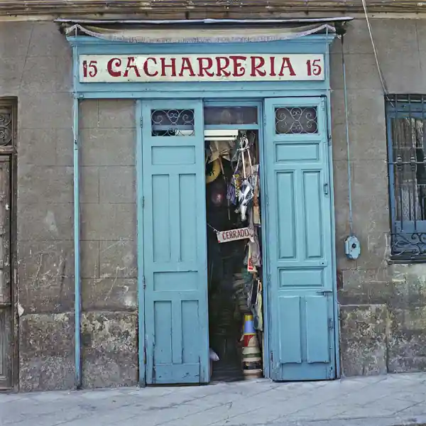 Alfredo Alcain «Fotografías»