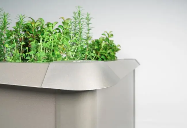 Protección contra caracoles 2×1 Biohort