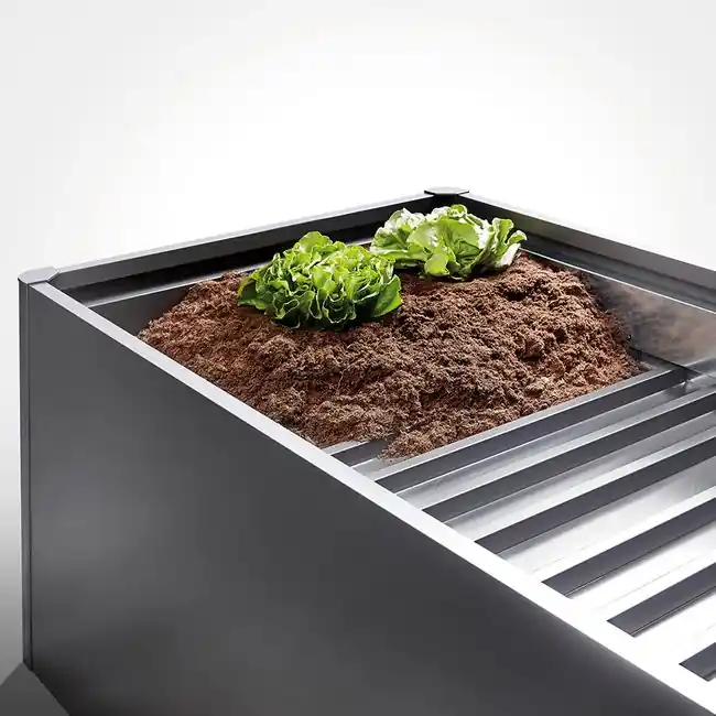 Balda intermedia Biohort