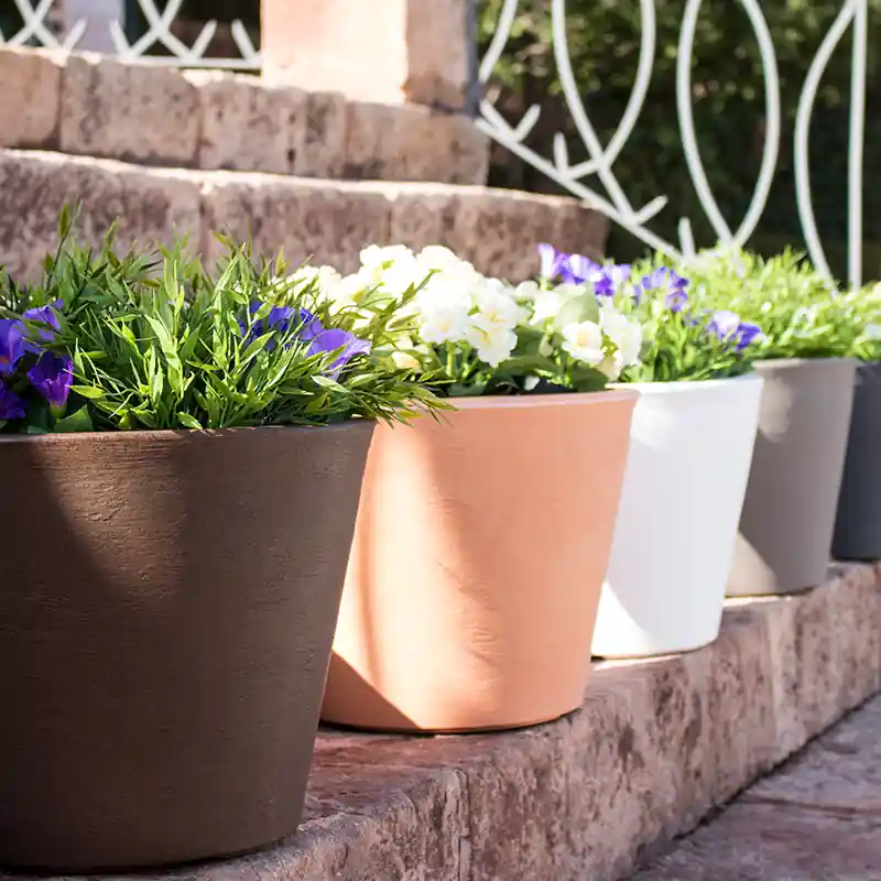 Macetero Petunia New Garden