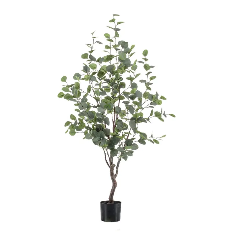 Árbol Eucalipto Decoplanta