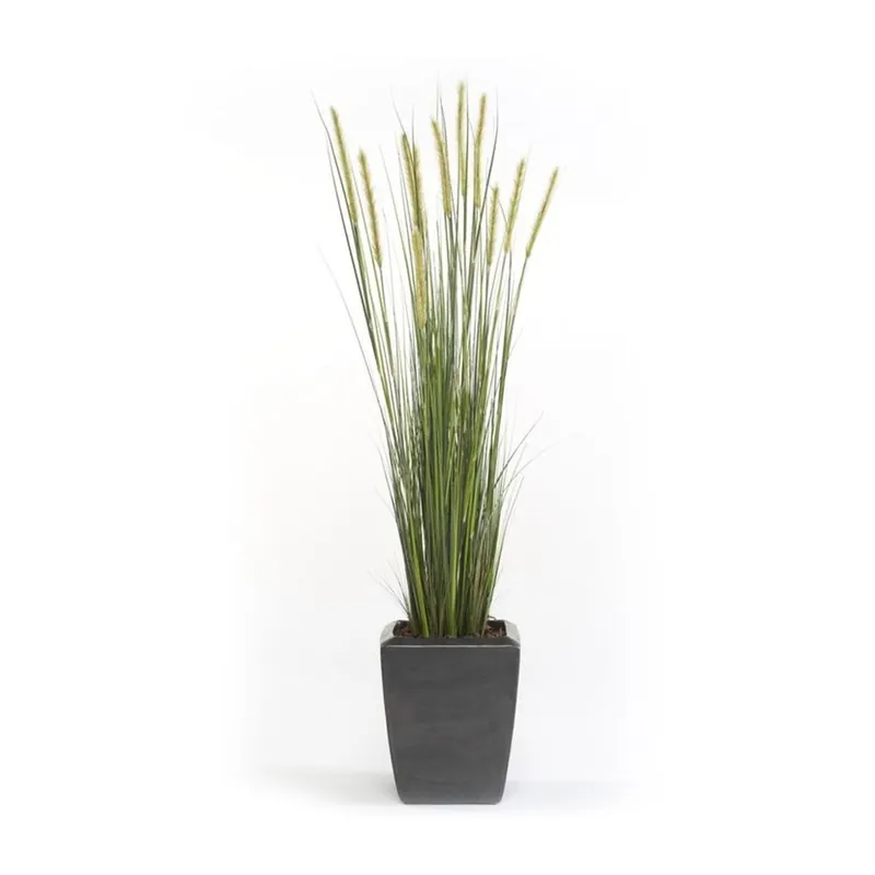 Planta Junco Espiga Decoplanta